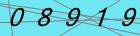 Login Security Code